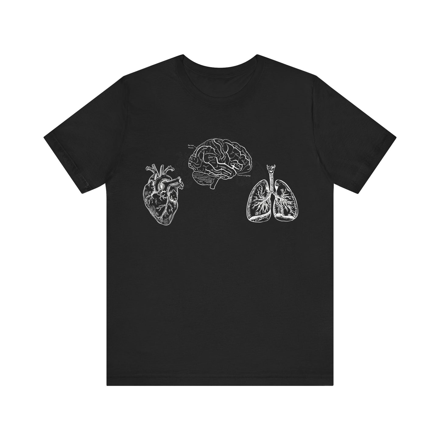 Anatomical Artistry T-shirt