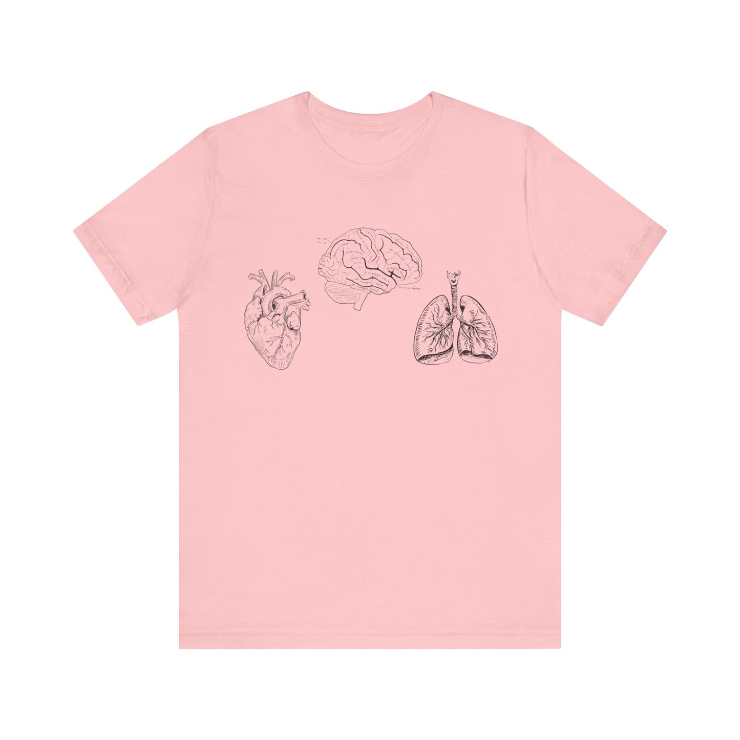 Anatomical Artistry T-shirt